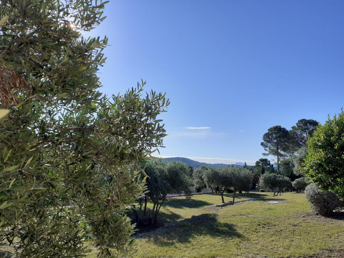 La Bastide Des Selves Bed and Breakfast Draguignan Buitenkant foto